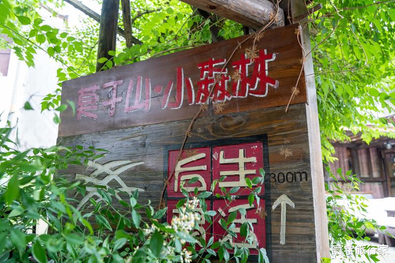 |偷得浮生两日闲，惬意山居后坞生活