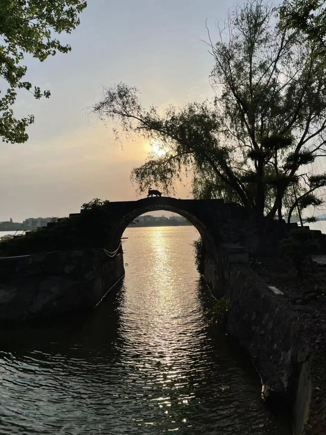 |九真山水渔趣苑——隐西湖,钓夕阳