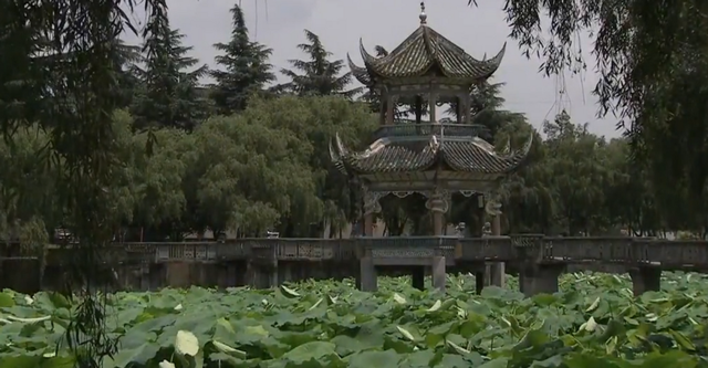 2012年,上门赘婿砍死发妻,做牛做马二十年,儿子都不是自己的?