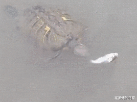 发型|“毕业照老师坐的这个位置，发型浑然天成啊！”笑岔气了！