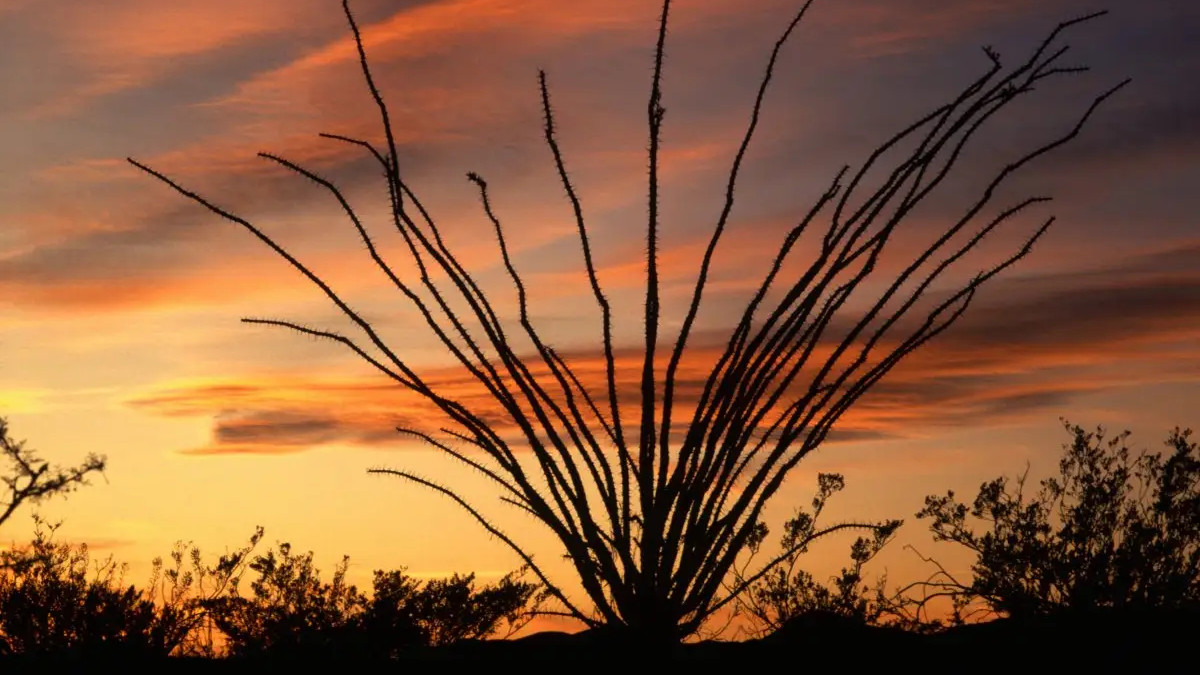 教师|为什么很多企业招聘的时候，只要211985工程大学的毕业生？