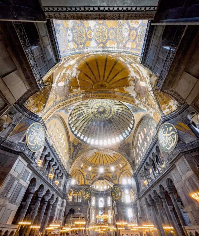 森林公园|40个让人敬畏的巨物