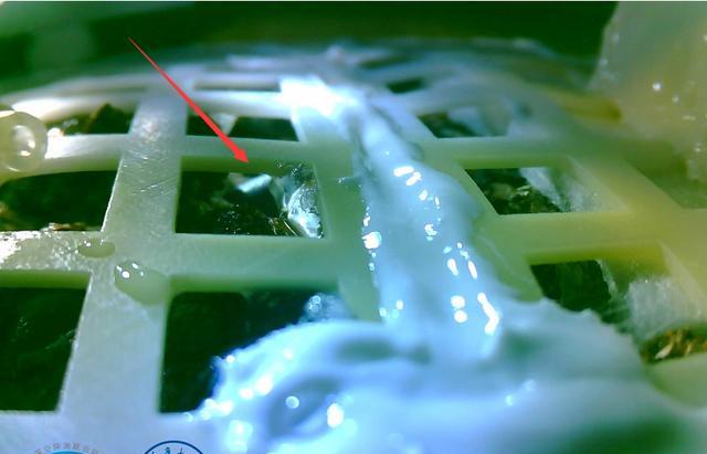 月球上能种菜了?美国首次用月壤种出植物,宇航员以后要和尿泥?