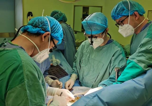 疾病|3000例!仁济医院儿童肝移植手术量有新突破