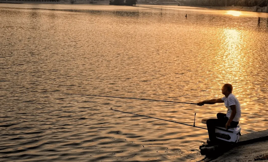饵料|夏季钓鱼难度加倍，不妨从4个“大方向”着手调整，渔获更有保证