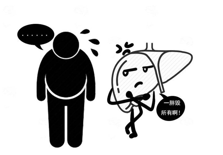 杨幂 内脏脂肪如何减肥？坚持做好4点，给内脏减负没那么难