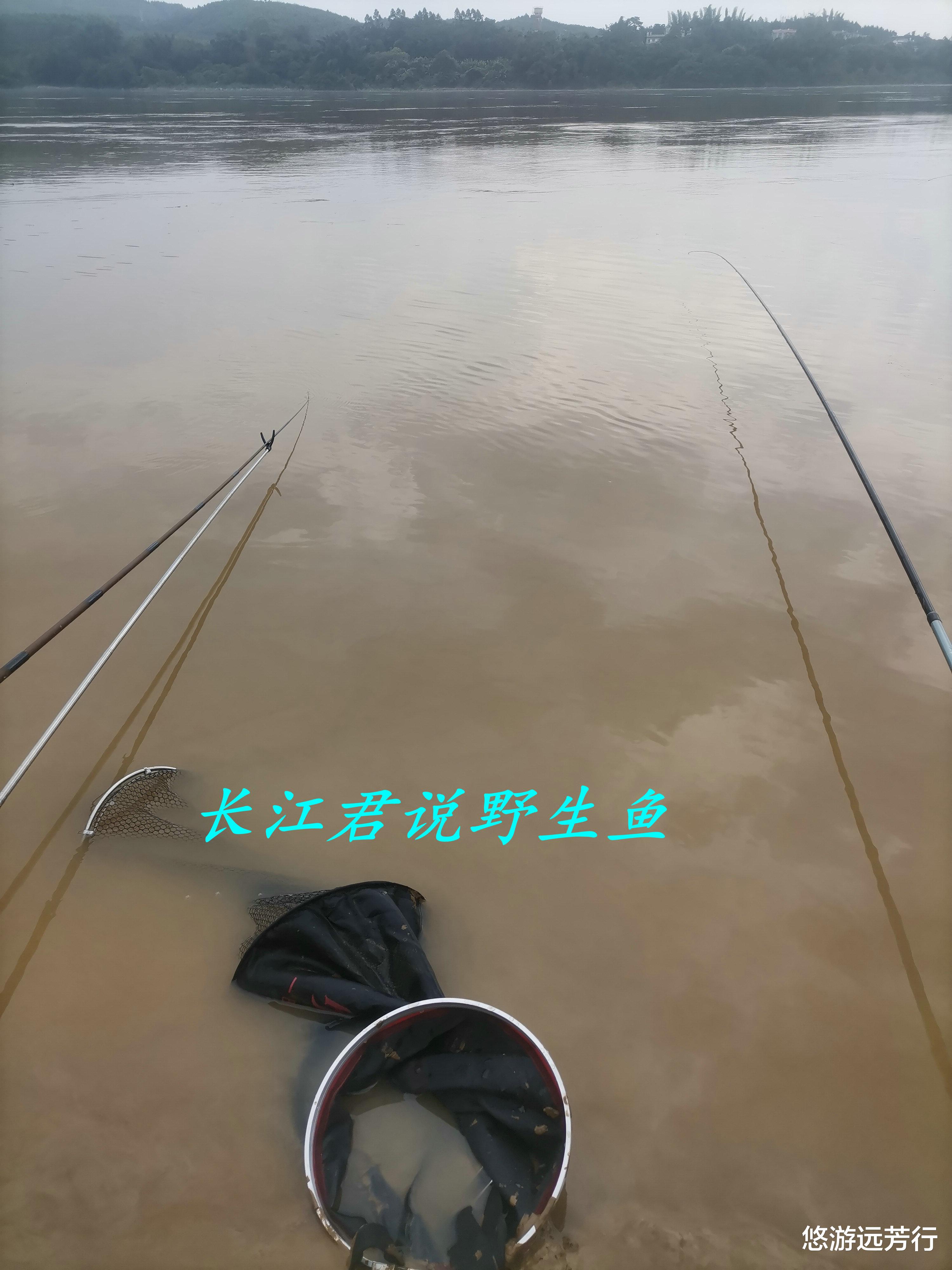 浙江省|浙江男子河里钓了条大鲤鱼,发朋友圈炫耀,结果朋友都劝他不要吃