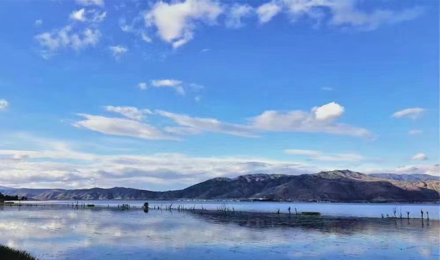 广州市|杨道超：浸染童年时光的洱海记忆