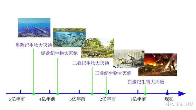 2300万年前的“树叶”，给人类“提了个醒”，那可以太空移居吗？