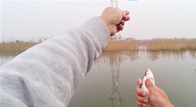 饵料|晚春垂钓翘嘴鱼,注意这些方面的细节,上钩的都是大翘嘴