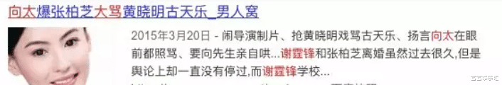 张柏芝|张柏芝与向太的“江湖恩怨”