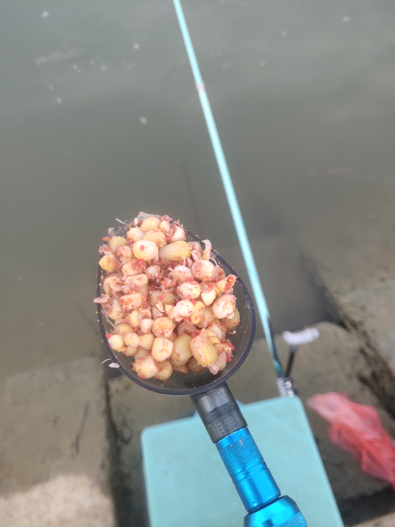 二哥|台风过境,图的一份安逸