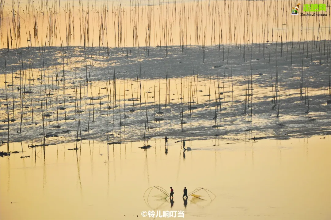 海岛|中国最美沿海公路，坐拥5大海岛，一路驶向大海，山海风光绝美