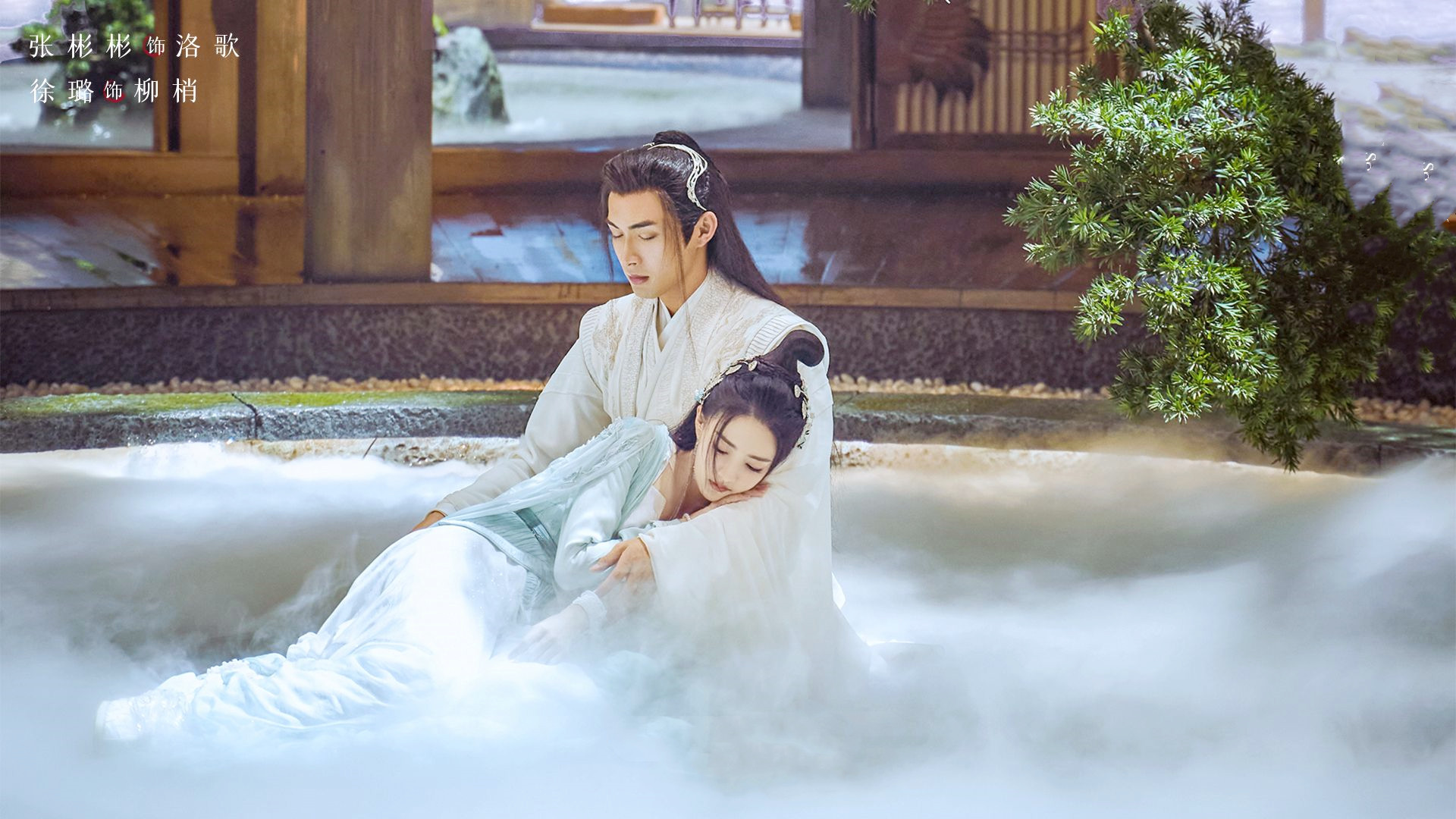 柳梢|《月歌行》：剧情紧凑，快速撒糖又快速开虐，柳梢伤心欲绝