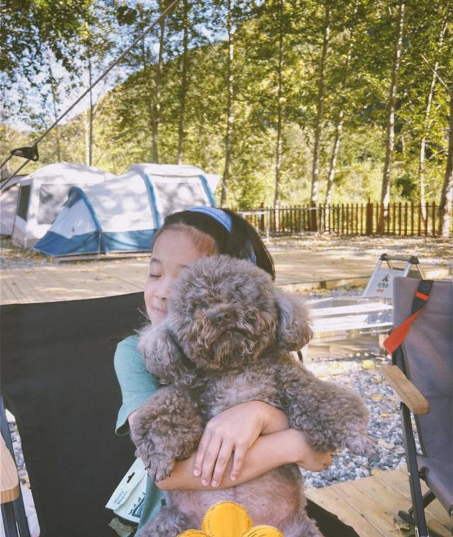 梅婷|梅婷一家四口露营,9岁女儿下河摸鱼接地气!儿子不愿下水太娇气