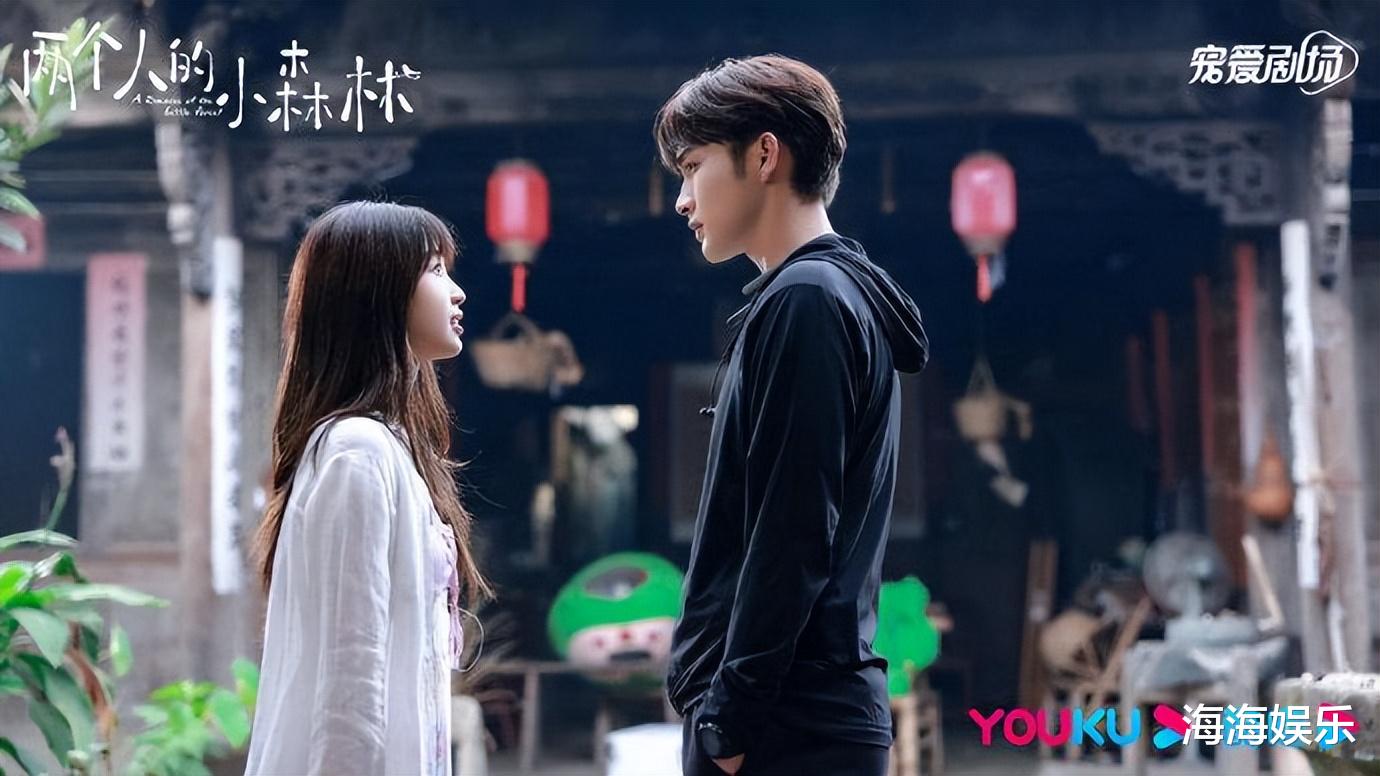 藤井莉娜|分享5部近期热播的好剧，各种题材都有，一部比一部精彩