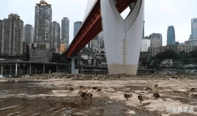 全球近十年将频发高温,我们该如何应对?该怎么心平气和好好生活