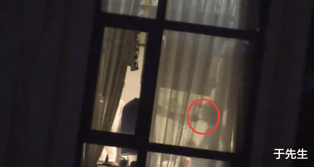 杨紫|张小寒放出高清视频,杨紫被证实撒谎,就问你喂没喂