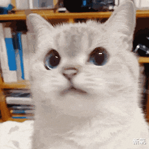 黑色素 她全身上下最黑的地方是抹了粉底液的脸？