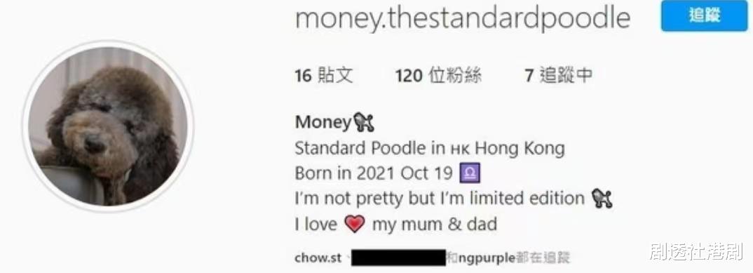 TVB|挨打赢得美人归？TVB小生疑与富贵主播恋情曝光，曾疑争女被打伤