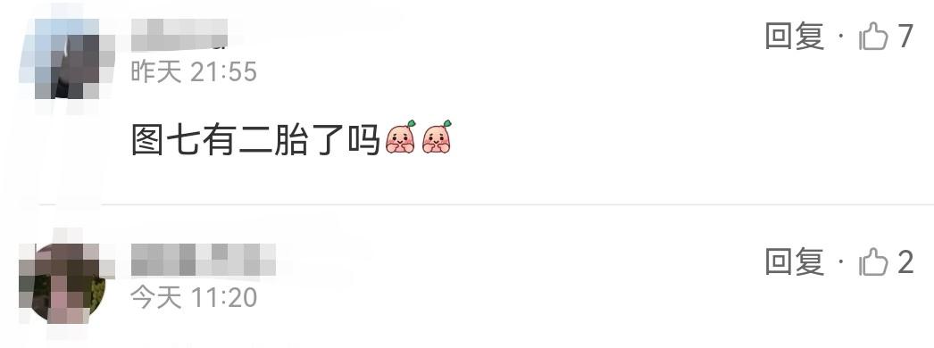 小姐姐|杜若溪被疑怀二胎,3岁女儿颜值太高似混血,严屹宽化身女儿奴