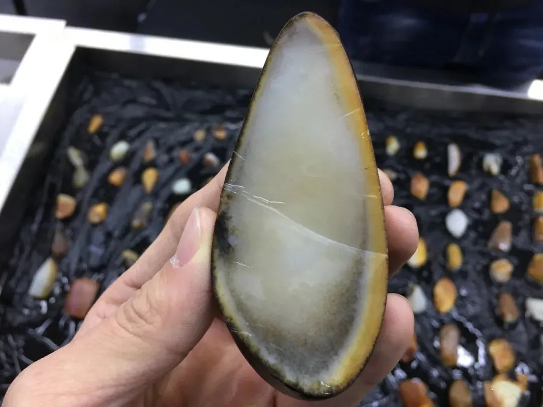 植树节|什么皮色下出好肉？你知道吗？