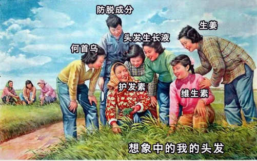 颈椎病|脱发?发际线太高?这个发量翻倍的方法你要知道!