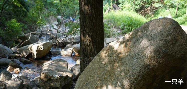 |这条秦岭沟谷，一进山就能看到美景，老人、孩子来玩也合适