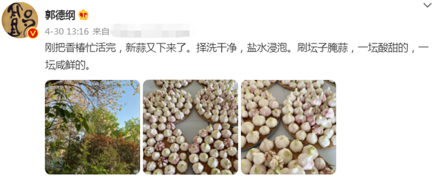 郭德纲|郭德纲罕晒年轻旧照！头发乌黑浓密帅气抢眼，郭麒麟被指太像爸