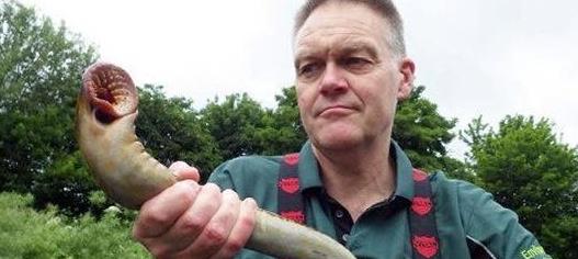 史前生物在英国泛滥成灾,在中国却遭受灭顶之灾