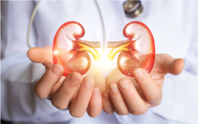 降压药|为啥我国“尿毒症”越来越多?提醒:4个习惯别碰,肾会感谢你的