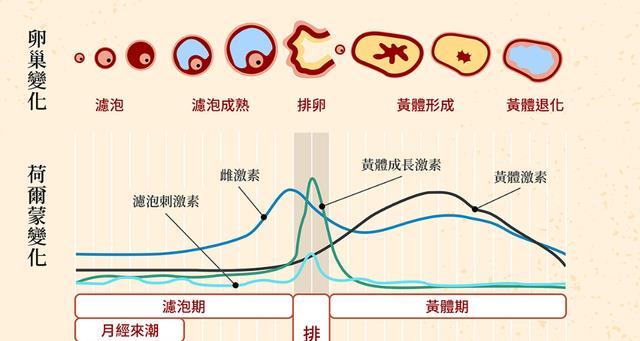 在太空中生活，女航天员怎么克服生理问题？航天女英雄牺牲太大了