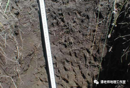 土壤到底是什么?又有什么分布特点呢?附中国土壤的分类及分布!