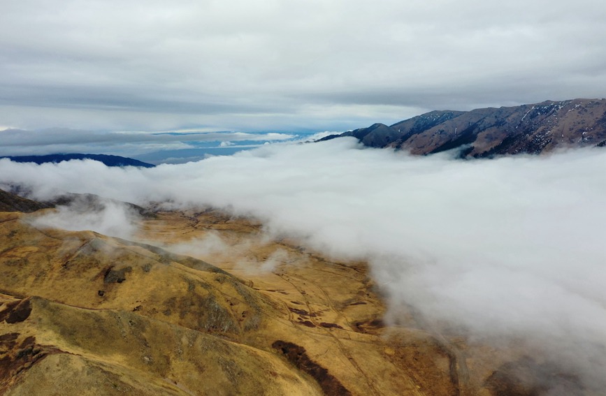 革命|墨韵尽染！新疆夏尔希里云雾绕山峦