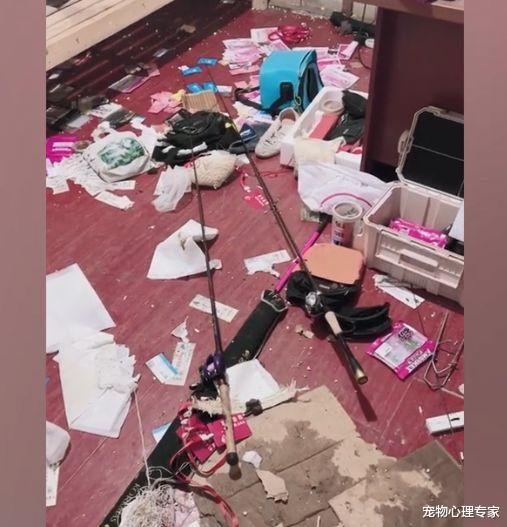 |女子外出钓鱼被隔离5天,到家后推门一看语塞:真是造孽啊