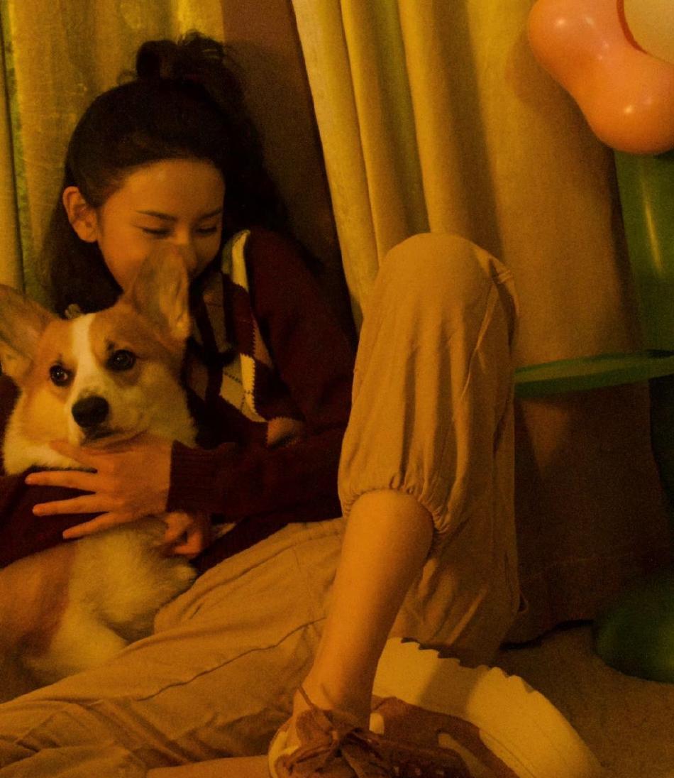 宋祖儿|宋祖儿晒与爱犬合影，呆萌又可爱，少女感十足