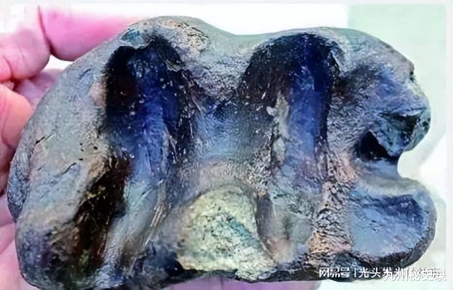 千年古墓挖出大量蓝色遗骨,疑似外星人所留?还是合葬?