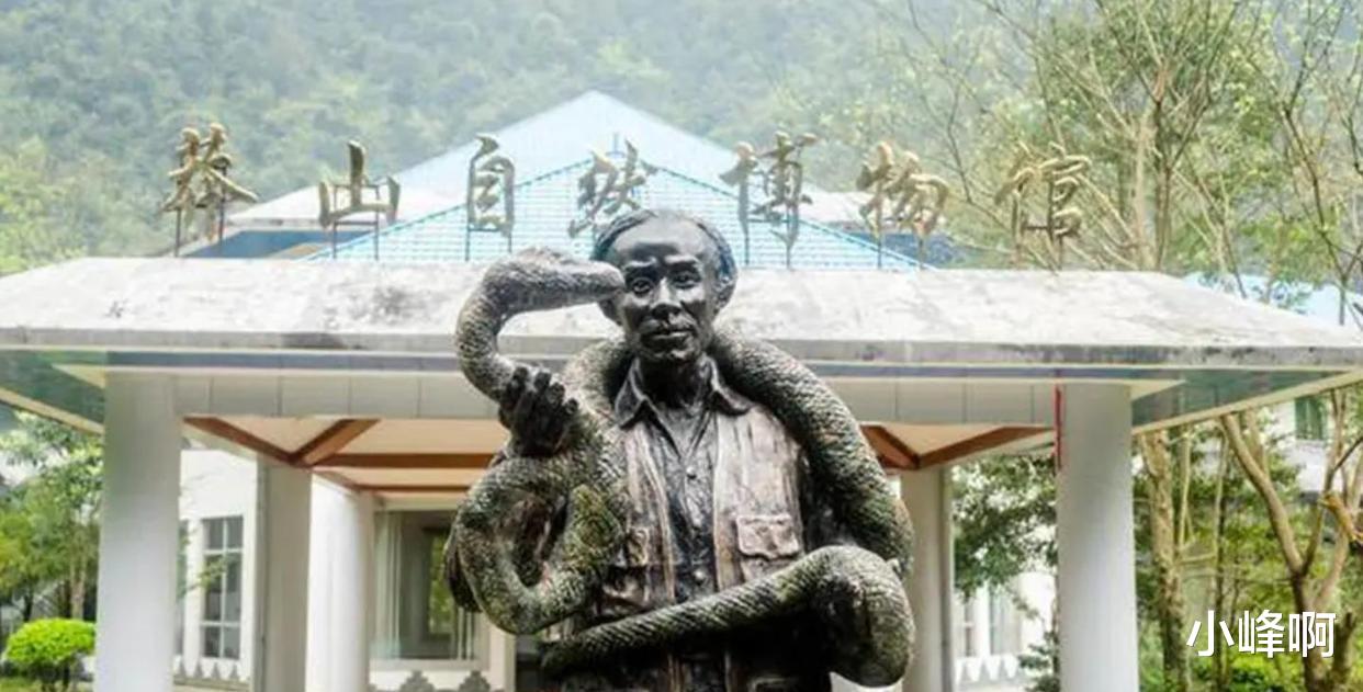 我国毒蛇小青龙,为什么总遭国外“惦记”?一条价值100万?