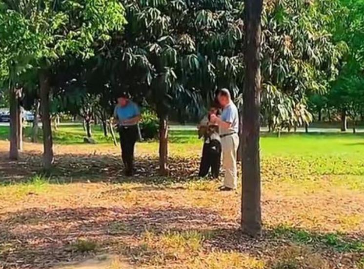 许敏|二审过后姚爸罕见露面,老杜网上内涵许敏遭嘲讽,许妈姚爸状态好