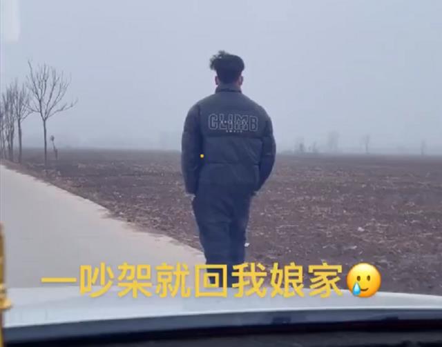 河南男子和妻子吵架到丈人家告状,妻子开车追,随后一幕让人笑哭