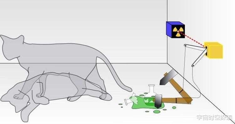 解读“薛定谔的猫”,“既死又活”的猫你见过吗?