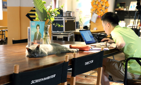 衬衫|职场中工作的目的性越强,越是容易让人没有存在感