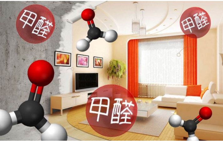 房间里放什么东西最吸“甲醛”?终于有师傅说出实话,多亏提醒!