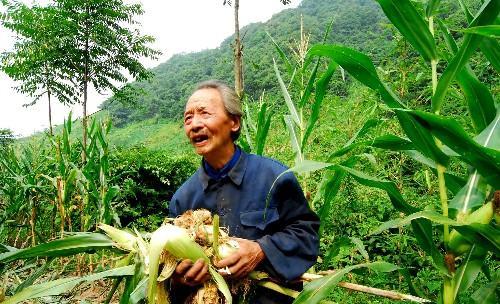 100多万头!我国局部地区野猪泛滥加剧,理塘一村支书遭袭击身亡