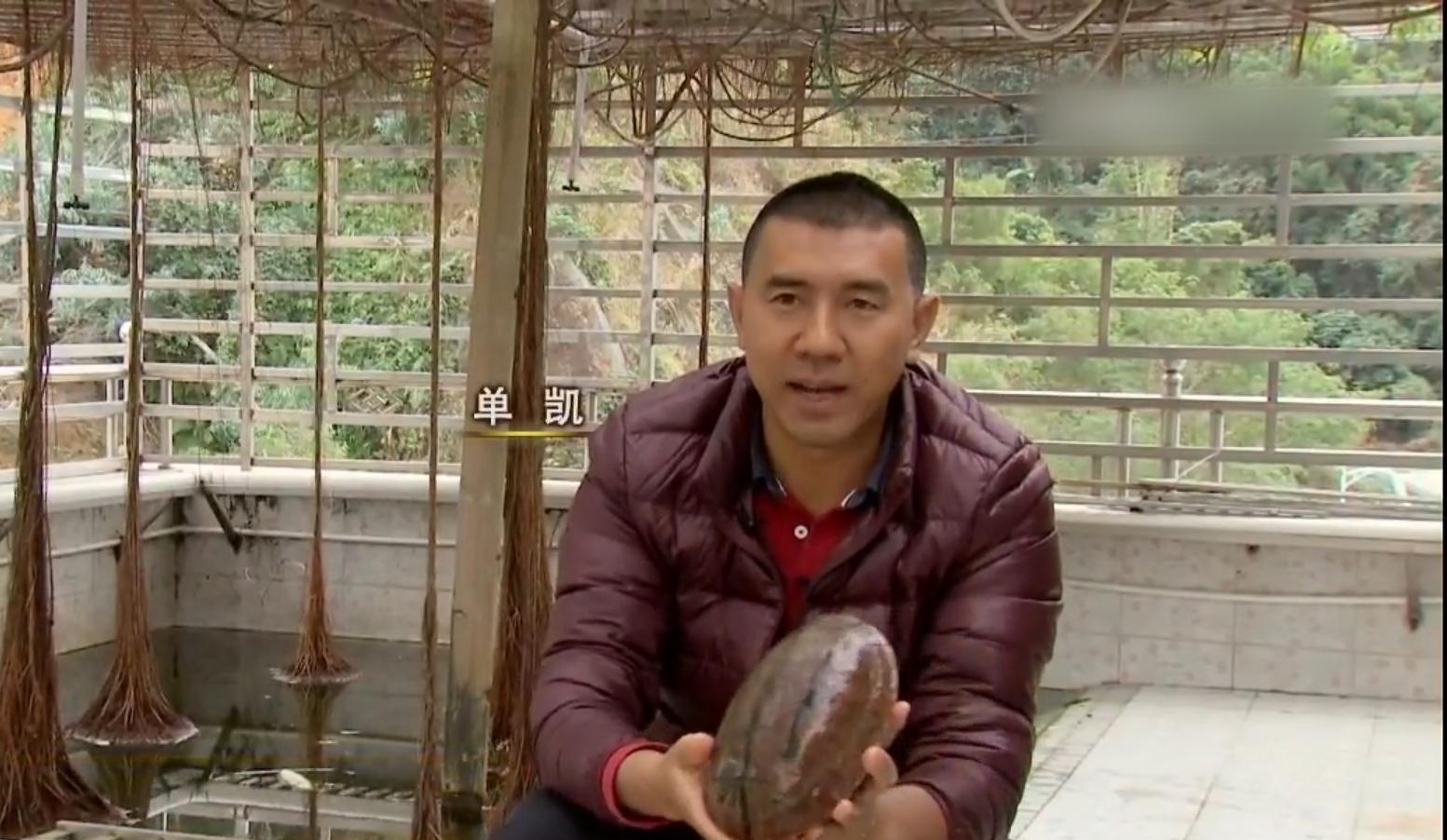 别人不要的乌龟,深圳男子花530万买下,2016年靠乌龟年入6000万