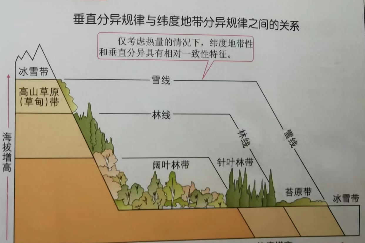 乞力马扎罗|海拔5892米,分布六种不同自然带,为何乞力马扎罗山自然带丰富?