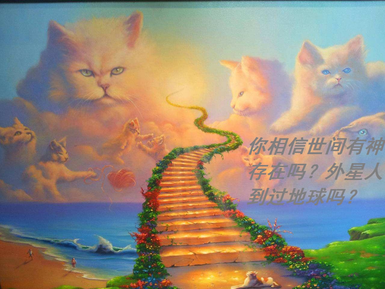 你相信世间有神存在吗?外星人到过地球吗