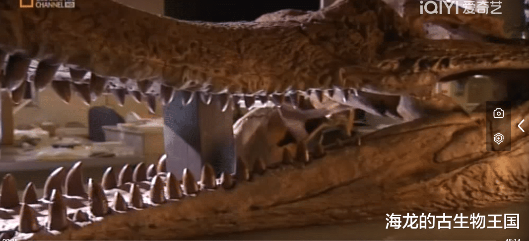 恐龙、翼龙、沧龙等大型爬行动物集体灭绝！为何鳄鱼能存活于世呢？