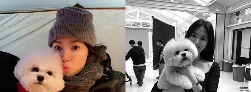 宋慧乔|宋慧乔双眼狂冒爱心素颜被拍！铁粉警告：有人要吃醋了