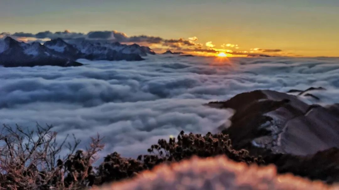 雅安|“雅安旅游一卡通”来啦!全年畅游雅安10大景区!